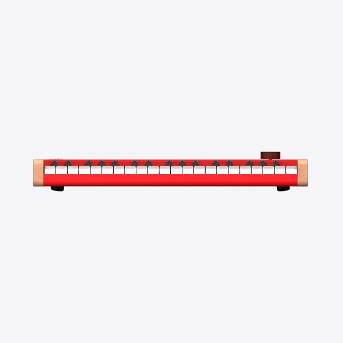 Loog Digital Piano - Portable Keyboard for Beginners with Musician Grade Sound, MIDI Over USB-C Rechargeable Musical Educational Instrument