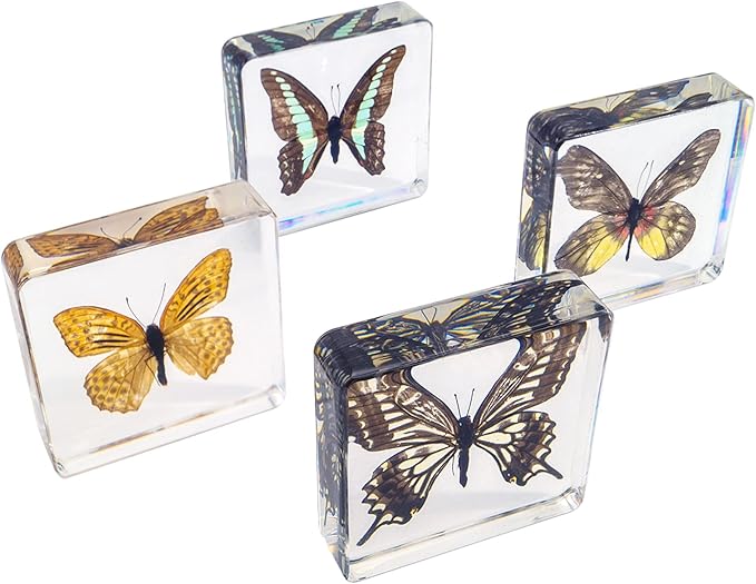 4 PCS Butterfly Specimen Set, Danaus Genutia, Graphium Sarpedon, Asian Swallowtail, Delias Pasithoe Butterfly Resin Collection Science Toys
