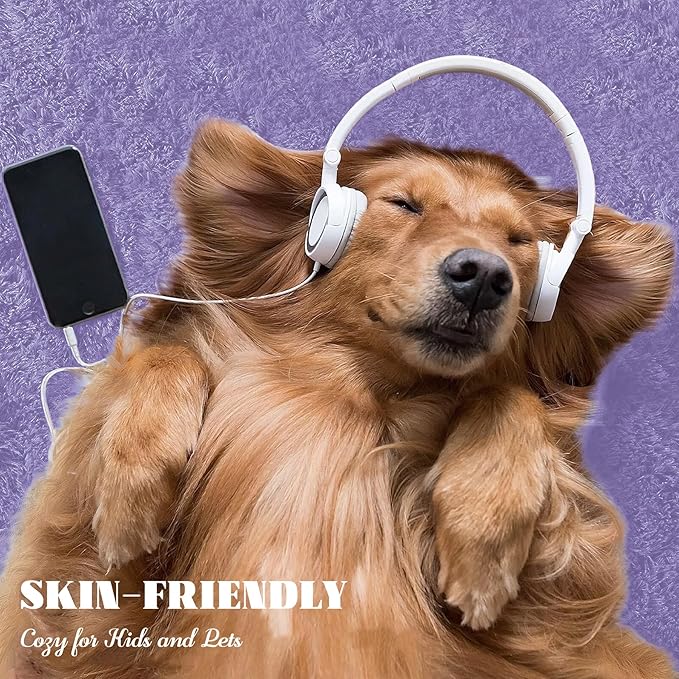 5x8 Area Rug for Living Room: Fluffy Shag Soft Washable Rugs Fuzzy Plush Indoor Carpet for Bedroom Nursery Playroom Dorm Kids Girls Boys Room (Purple, 5'x8')