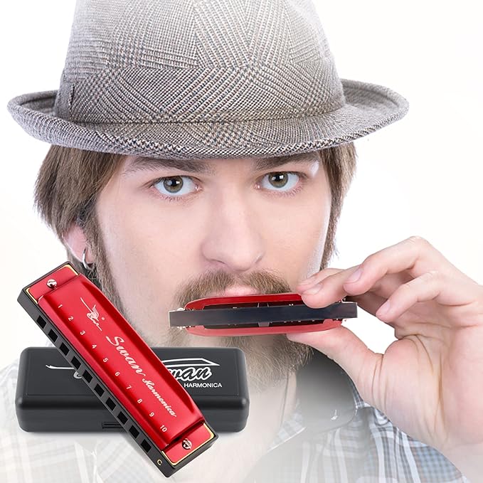 SWAN Blues Harmonica Key of C Mouth Organ Diatonic Harmonica with Case, 10 Hole 20 Tones Stainless Blues Harp for Adults, Beginners(Burgundy Red)