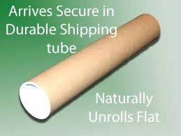 30-Day 1-Month Dry and Wet Erasable Wall Calendar Planner (38" 75", Earth Green)