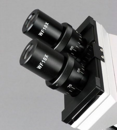AmScope B100-3M Digital Compound Binocular Microscope, 40X-1000X Magnification, Brightfield, Tungsten Illumination, Abbe Condenser, Plain Stage, Includes 3MP Camera with Reduction Lens and Software