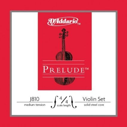 D Z Strad Violin Model 100 with Solid Wood with Case, Bow, and Rosin (1/10 - Size)
