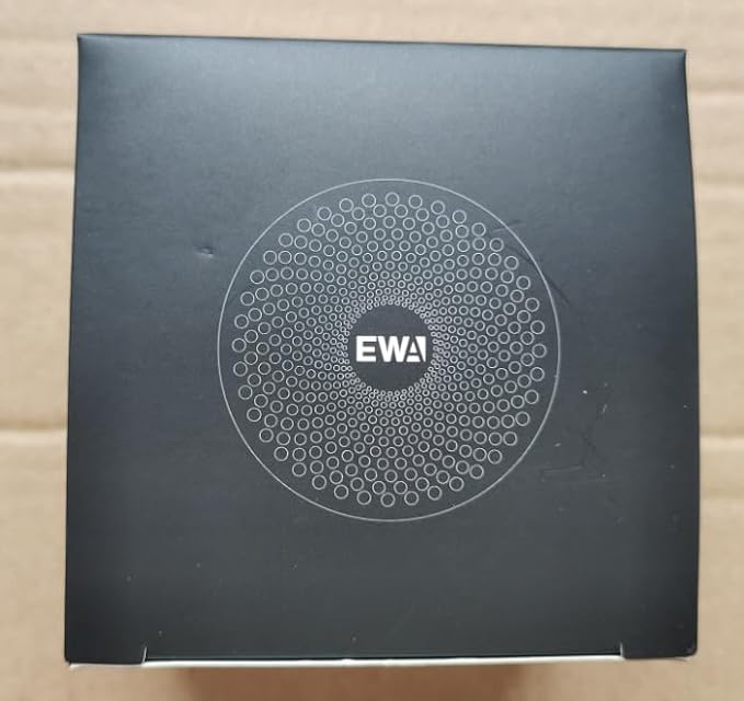 EWA Travel Case Packed, A106 Pro Portable Bluetooth Speaker with Custom Bass Radiator, Brief Design, IP67 Waterproof, Perfect Mini Speaker for Shower, Room, Bike, Car (Black)