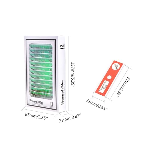 60Pcs Prepared Microscope Slides Specimen Animals Insects Plants Flowers Sample Biological Specimen, Stereo Microscope Slide for Kids Children Students Enlighten Education