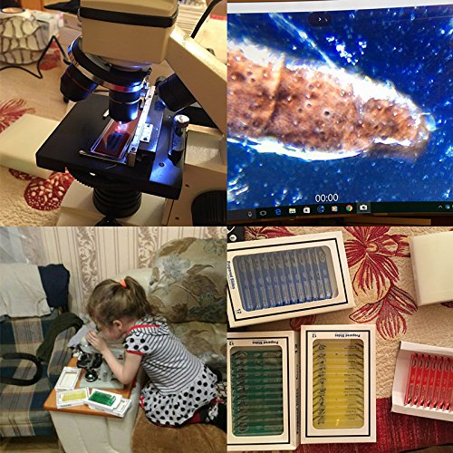 48Pcs Prepared Microscope Slides Specimen Animals Plants Flowers Sample Biological Specimen, Stereo Microscope Slide for Kids Children Students Enlighten Education