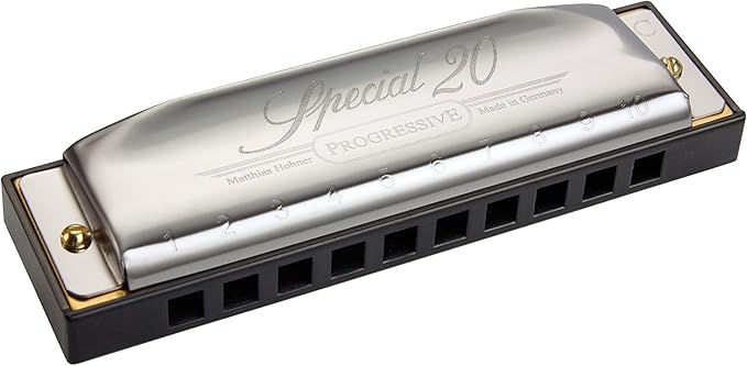 Hohner 560 Special 20 Harmonica - Key of A Bundle with Carrying Case, Key Stickers, Harmonica Beginner Manual, and Austin Bazaar Polishing Cloth