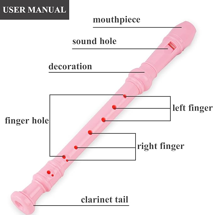 Recorder Instrument for Beginner Kids Adults,8-Hole Soprano Descant Recorder Music Flute with with Cleaning Rod & Leather Case For School Student Home Entertainment(2-Trojans）