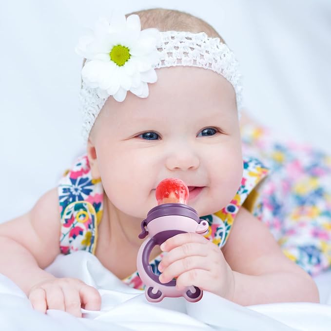 Baby Solids/Frozen Fruit Feeder Pacifier, Infant Teether Toy 4M+, BPA-Free Silicone Pouch & Nipple, Safely Introduce Solids, Teething Relief, 2-Pack (Bear - Purple Pink White, S/M/L)
