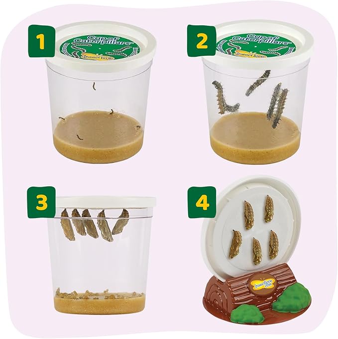 Insect Lore Butterfly Farm - Live Cup of 5 Caterpillars, Reusable Habitat, STEM Butterfly Activity Journal & Supplies - Grow, Observe and Release Painted Lady Butterflies