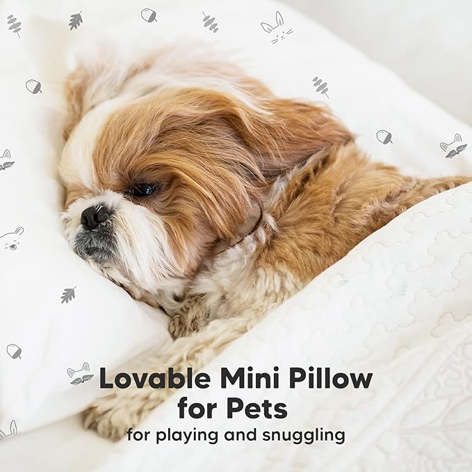 Mini Toddler Pillow with Pillowcase - 9x13 My Little Dreamy Travel Kids Pillow for Sleeping, Toddler Bed, Small, Tiny, Organic Cotton Pillowcase, Soft & Breathable, Kids 2-4 Years Old (Acorn)