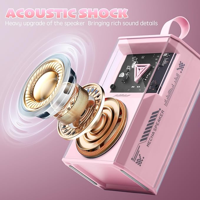 Karaoke Machine for Kids & Adults, Portable Bluetooth Mini Karaoke Speaker with 2 Wireless Microphone and Lights, Birthday Gifts for Girls & Boys, Toys for Girls, Family Home Party (Pink)