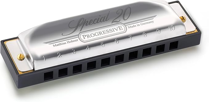 Hohner Special 20 Harmonica - Key of B Bundle with Case, Pouch, Online Manual, and Austin Bazaar Polishing Cloth