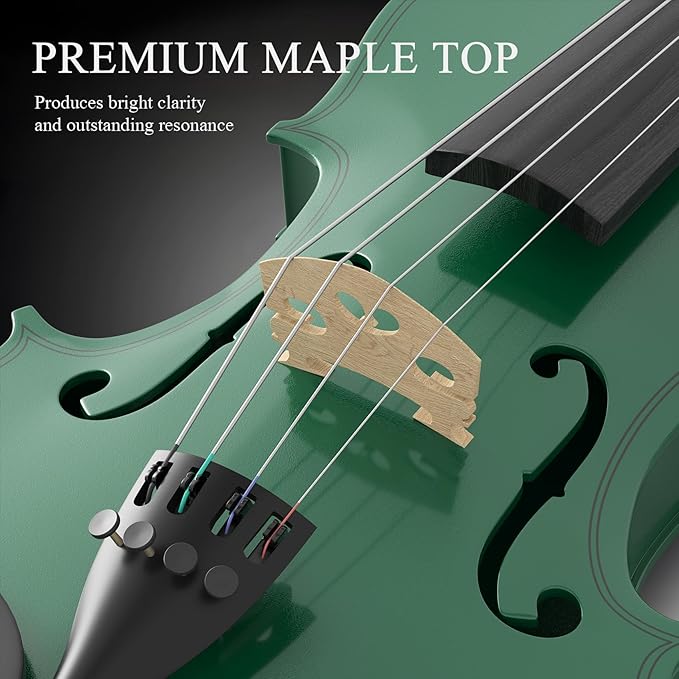 4/4 Beginner Violin Kit for Adults, Complete Full Size Violin Set with Portable Case, Bow, Rosin, Green