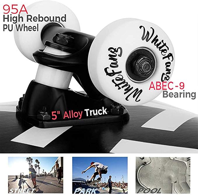 WhiteFang Skateboards for Beginners, Complete Skateboard 31 x 7.88, 7 Layer Canadian Maple Double Kick Concave Standard and Tricks Skateboards for Kids and Beginners
