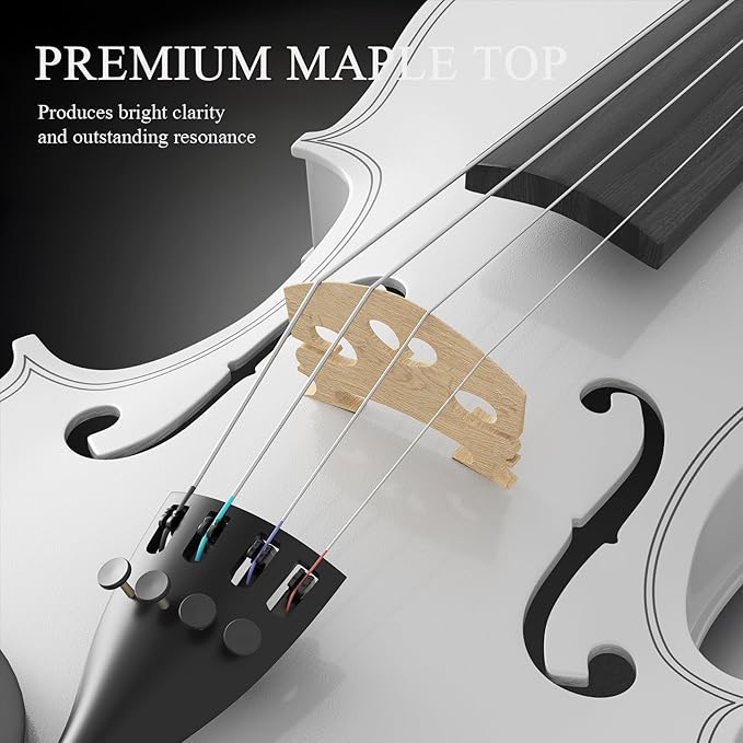 4/4 Beginner Violin Kit for Adults, Complete Full Size Violin Set with Portable Case, Bow, Rosin, White