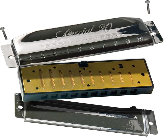 Hohner 560 Special 20 Harmonica - Key of D Bundle with Carrying Case, Key Stickers, Harmonica Beginner Online Manual, and Austin Bazaar Polishing Cloth