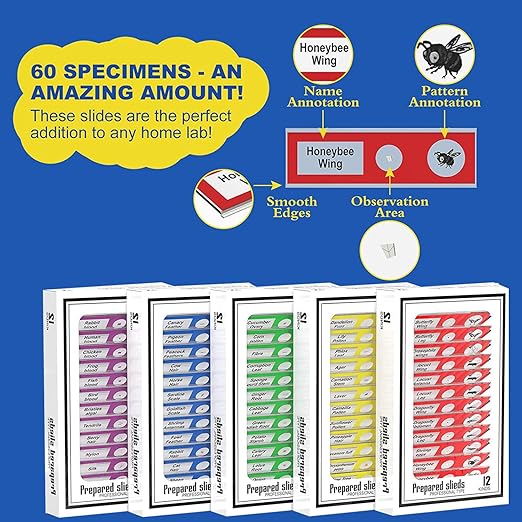60Pcs Prepared Microscope Slides Specimen Animals Insects Plants Flowers Sample Biological Specimen, Stereo Microscope Slide for Kids Children Students Enlighten Education