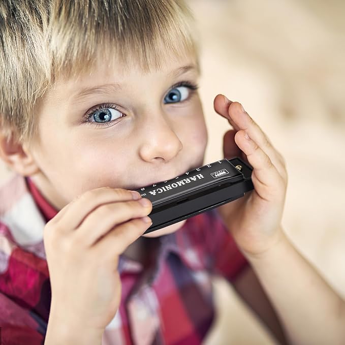 UPINS Harmonica, 4PCS Key of C 10 Hole 10 Tones Titanium Color Harmonica with Case for Beginner(Black)