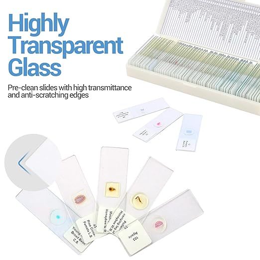 60 Microscope Slides with Specimens for Kids, Prepared Microscope Slides for Kids Microbiology, Prepared Microscope Slides for Adults