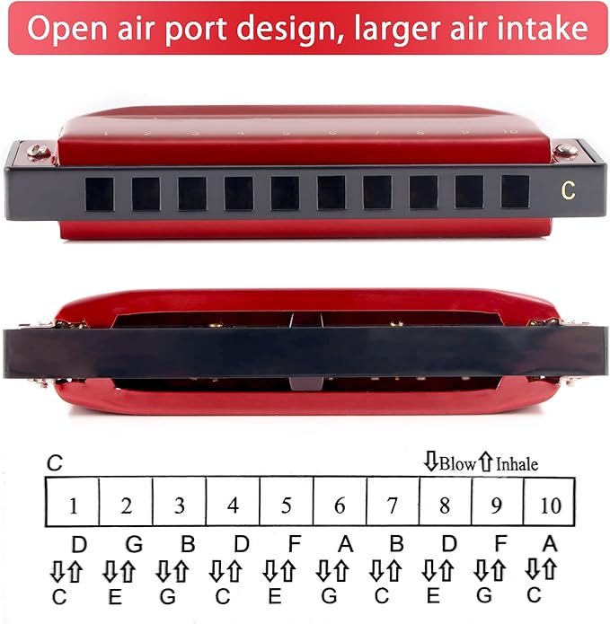 SWAN Blues Harmonica Key of C Mouth Organ Diatonic Harmonica with Case, 10 Hole 20 Tones Stainless Blues Harp for Adults, Beginners(Burgundy Red)