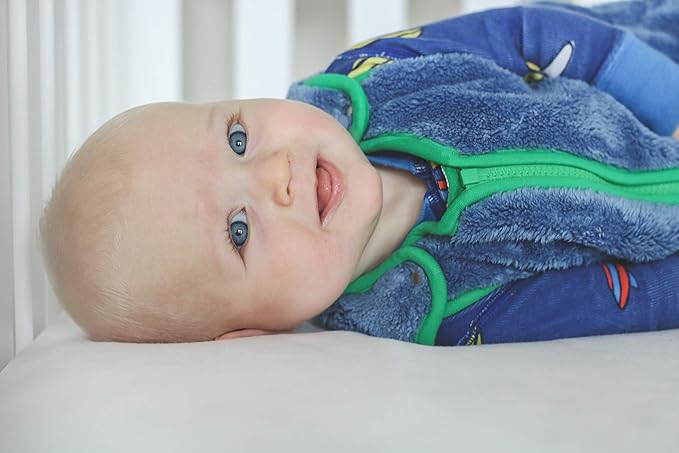 baby deedee Sleep Nest Teddy Baby Sleeping Bag, Fuzzy Dino, Medium (6-18 Months)