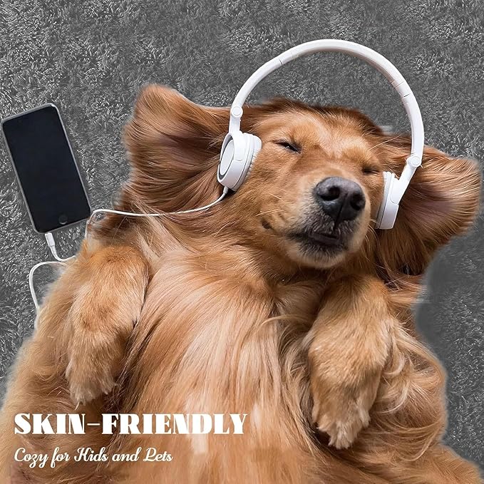 4x6 Area Rug for Living Room: Fluffy Shag Soft Washable Rugs Fuzzy Plush Indoor Carpet for Bedroom Nursery Playroom Dorm Kids Girls Boys Room (Dark Grey, 4'x6')