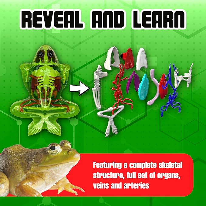 Dissect-It Kit for Kids, Simulated Synthetic Lab Dissection Toy, Frog Super Lab STEM Toys for Animal Science, Biology, and Anatomy