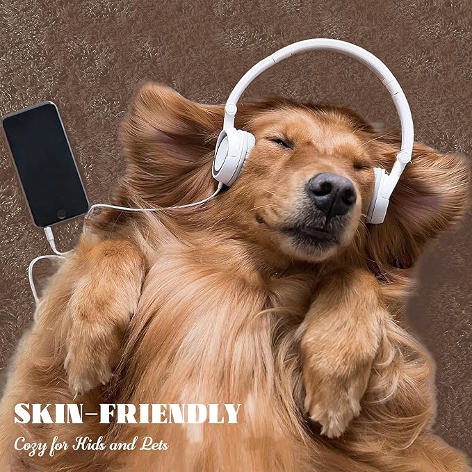 4x6 Area Rug for Living Room: Fluffy Shag Soft Washable Rugs Fuzzy Plush Indoor Carpet for Bedroom Nursery Playroom Dorm Kids Girls Boys Room (Coffee, 4'x6')