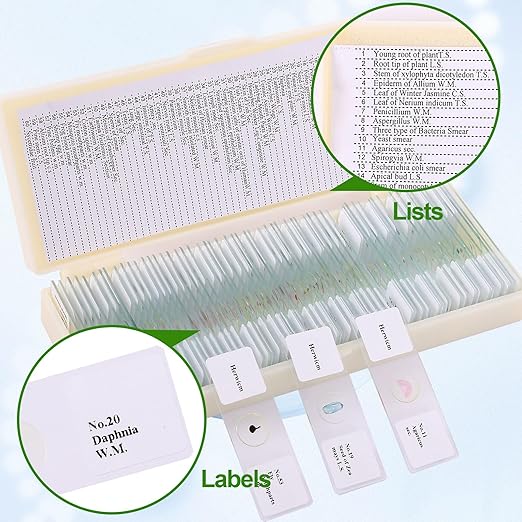 60 Pieces Prepared Microscope Slide Set with Specimens, Plant Animal Cell Science Education Microscope Slides for Bioscience Labs