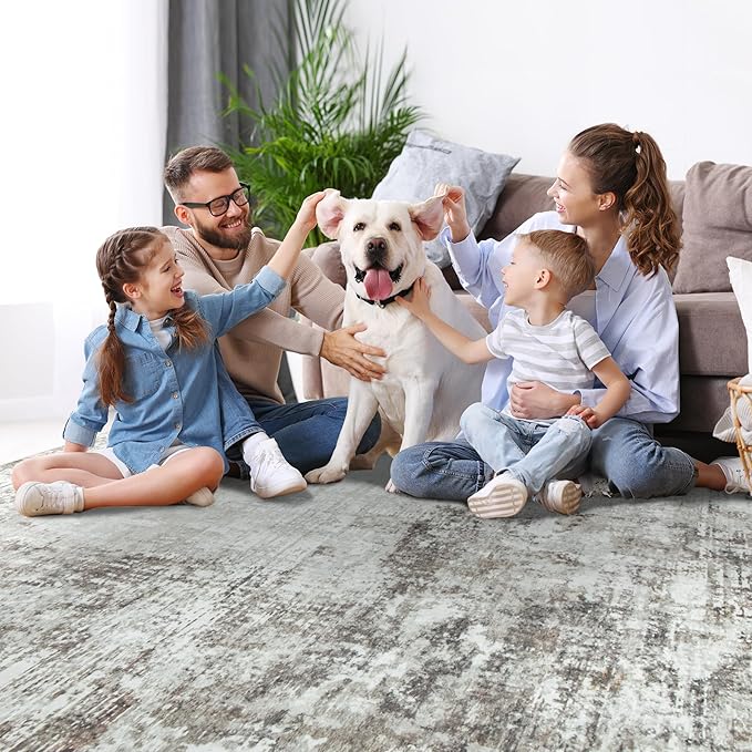 4x6 Area Rugs for Living Room Rug Washable: Modern Large Rug for Dining Room Bedroom Carpet Non Slip Low Pile 4 by 6 Indoor Abstract Nursery Home Office Brown Grey