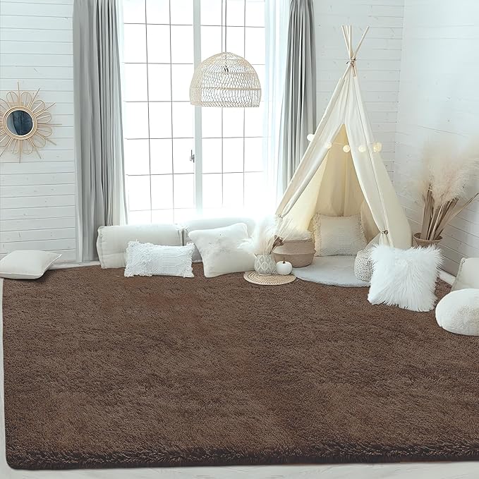 4x6 Area Rug for Living Room: Fluffy Shag Soft Washable Rugs Fuzzy Plush Indoor Carpet for Bedroom Nursery Playroom Dorm Kids Girls Boys Room (Coffee, 4'x6')