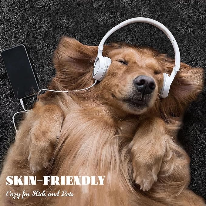 4FT Round Rug for Bedroom: Fluffy Shag Soft Washable Rugs Circle Small Fuzzy Plush Indoor Carpet for Living Room Nursery Playroom Dorm Kids Girls Boys Room (Black, 4'x4')